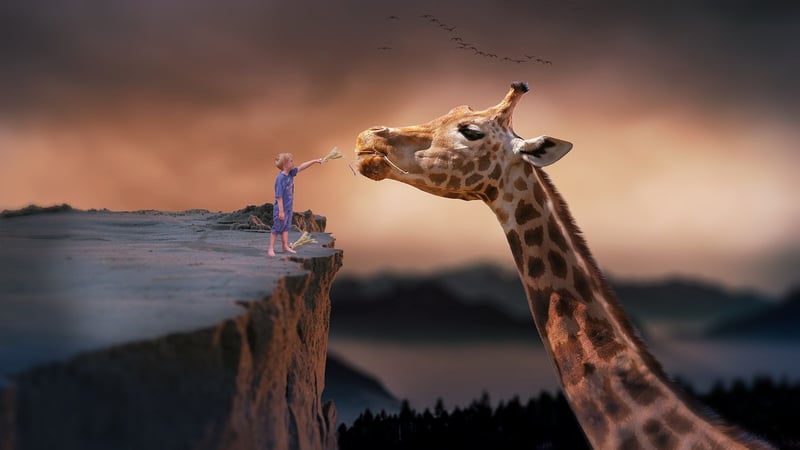 Imaginative Themes